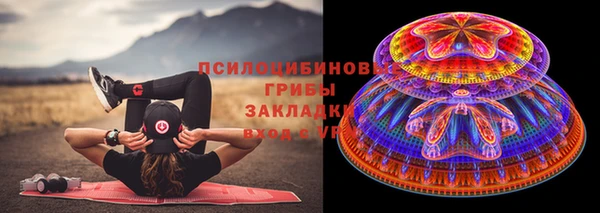 ПСИЛОЦИБИНОВЫЕ ГРИБЫ Алексеевка